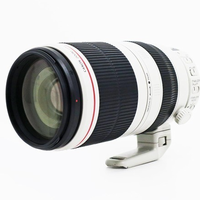 キヤノン EF100-400mm F4.5-5.6 USM 一眼カメラ用レンズ